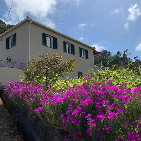 Terra Batista House Villa Porto Da Cruz Dış mekan fotoğraf