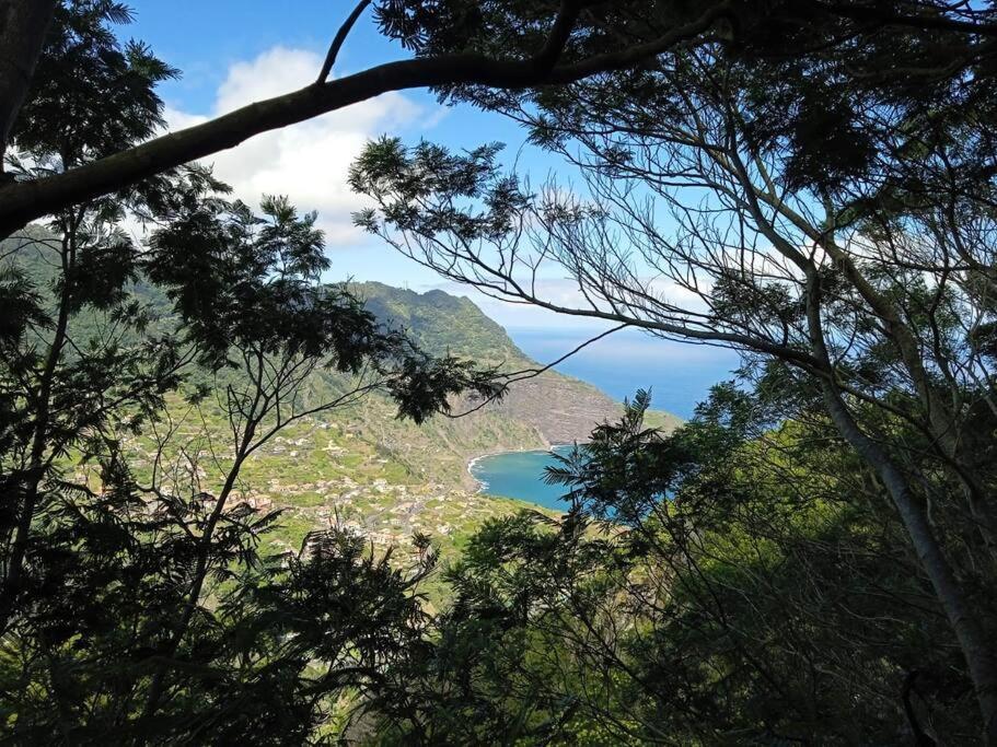 Terra Batista House Villa Porto Da Cruz Dış mekan fotoğraf