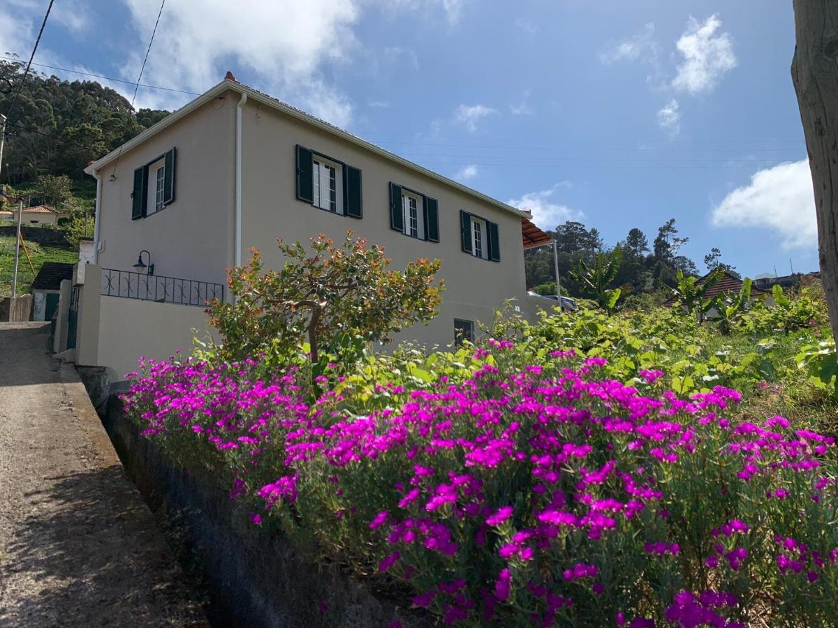 Terra Batista House Villa Porto Da Cruz Dış mekan fotoğraf